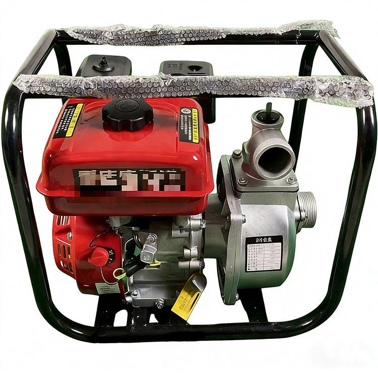 From Mountainous Farmland To Flood Stricken Areas, Gasoline Water Pumps Are The 'Must-Have Artifact'