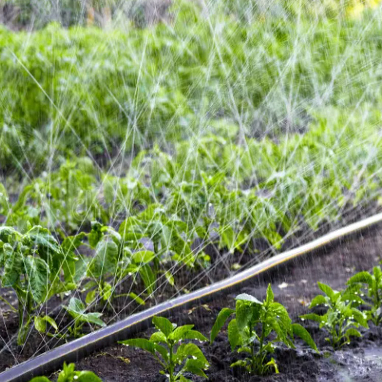Agricultural Irrigation PE Pipe